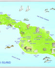 Catalina Island Illustrated Map Placemats, set of 4