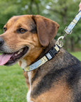 Dog Collar Wholesale - Maritime Tribes USA