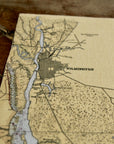 Table Runner - Wholesale - 72" x 16" - Maritime Tribes USACanvas Placemat