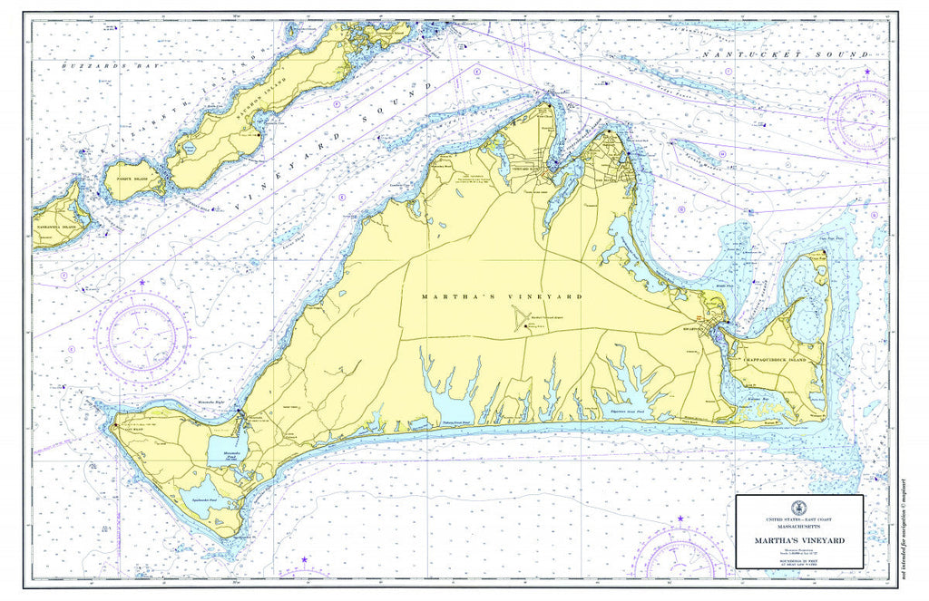 Martha's Vineyard Vintage Chart Placemat