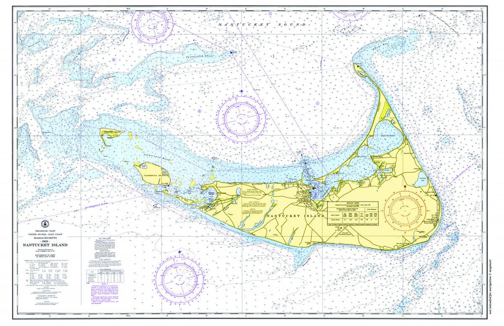 Nantucket Nautical Chart Placemat