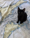 Cape Cod & The Islands Traditional Nautical Chart Blanket
