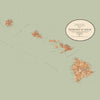 Hawaiian Islands vintage map -  Quick Dry Towel