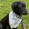 Bandana (a.k.a. Dogdana) - Wholesale Doggie Bandana