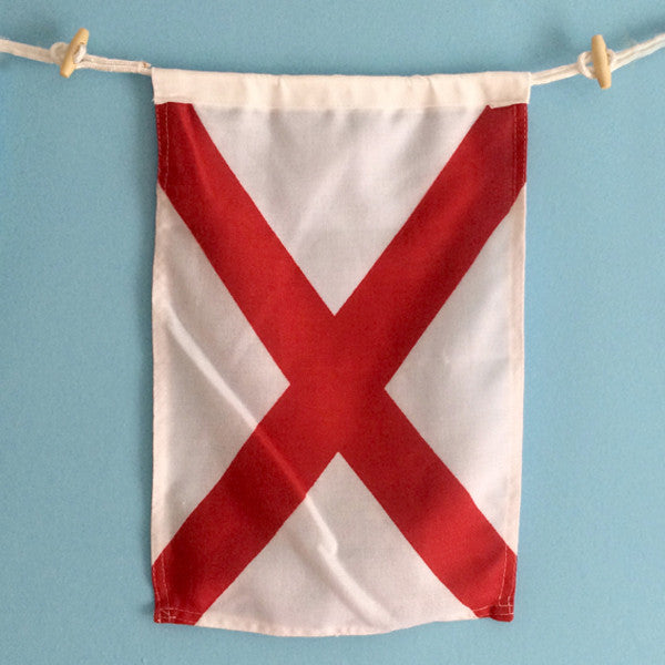 Vb Flag
