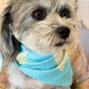 Bandana (a.k.a. Dogdana) - Wholesale Doggie Bandana - Maritime Tribes USA