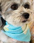 Bandana (a.k.a. Dogdana) - Wholesale Doggie Bandana - Maritime Tribes USA