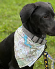 Bandana (a.k.a. Dogdana) - Wholesale Doggie Bandana - Maritime Tribes USA