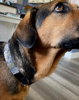 Dog Collar Wholesale - Maritime Tribes USA