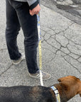 Dog Leash Wholesale - Maritime Tribes USA