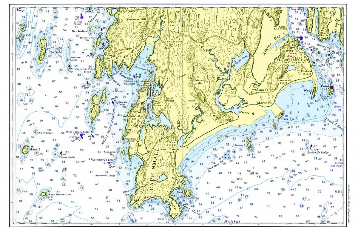 Hermit Island, Maine Chart Placemat - Maritime Tribes USALaminated Placemat