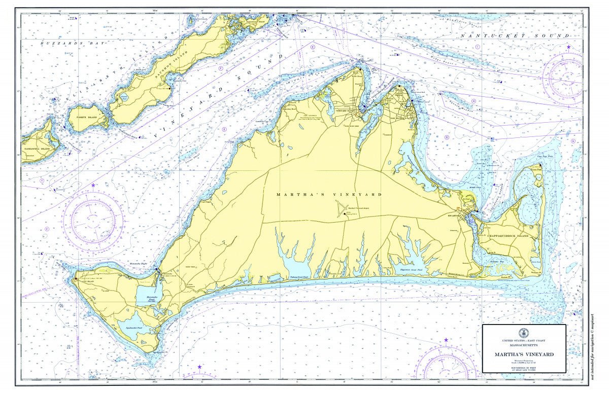 Martha's Vineyard Vintage Chart Placemat - Maritime Tribes USALaminated Placemat