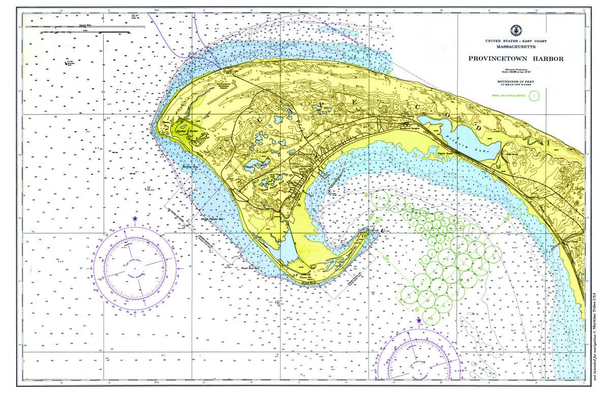 Provincetown, MA Nautical Chart Placemat - Maritime Tribes USALaminated Placemat