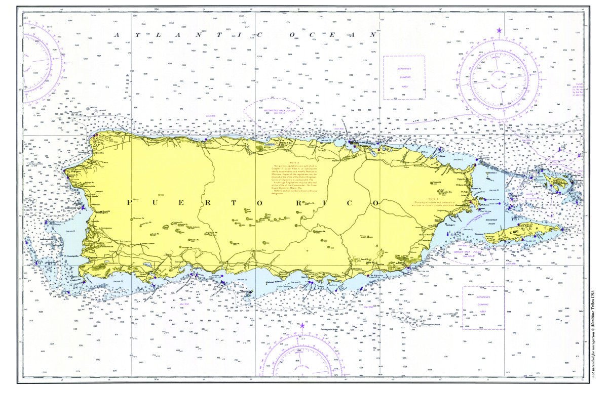 Puerto Rico Chart Placemat - Maritime Tribes USALaminated Placemat